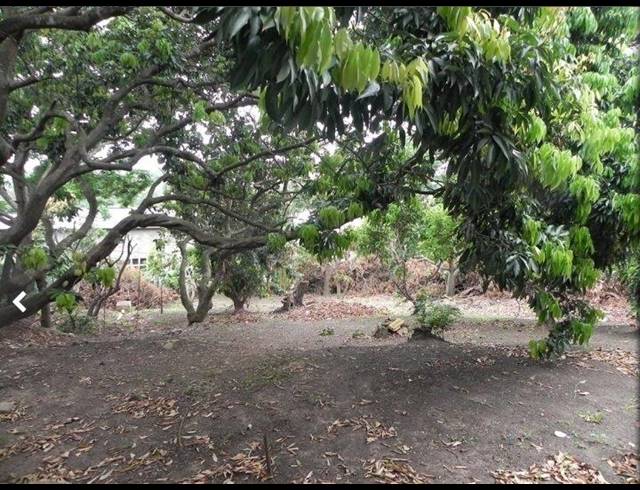 5 BEDROOM HOUSE FOR SALE IN LOTUSVILLE